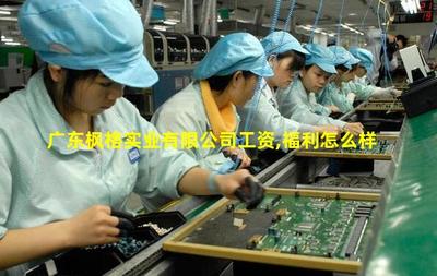 廣東楓格實業(yè) 專注針紡織品及原料銷售的專業(yè)供應商